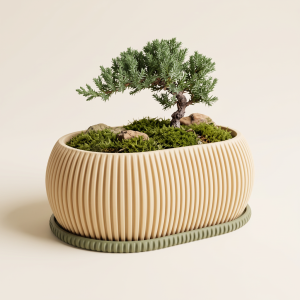 Bonsai Saksija „Zephyr"