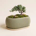 Bonsai Saksija „Zephyr"