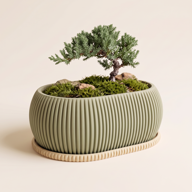 Bonsai Saksija „Zephyr"